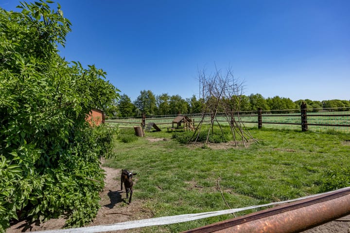 Foto 60 van Ontginningsweg 7