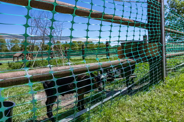 Foto 61 van Ontginningsweg 7