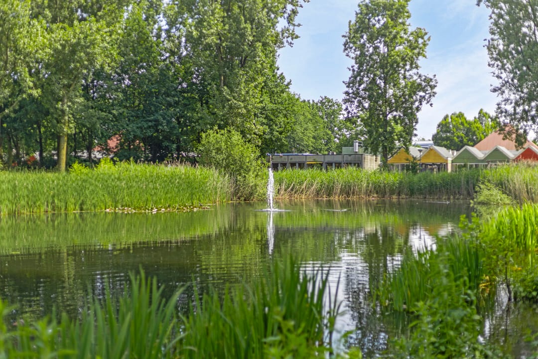 Foto 43 van Hoefstraat 10