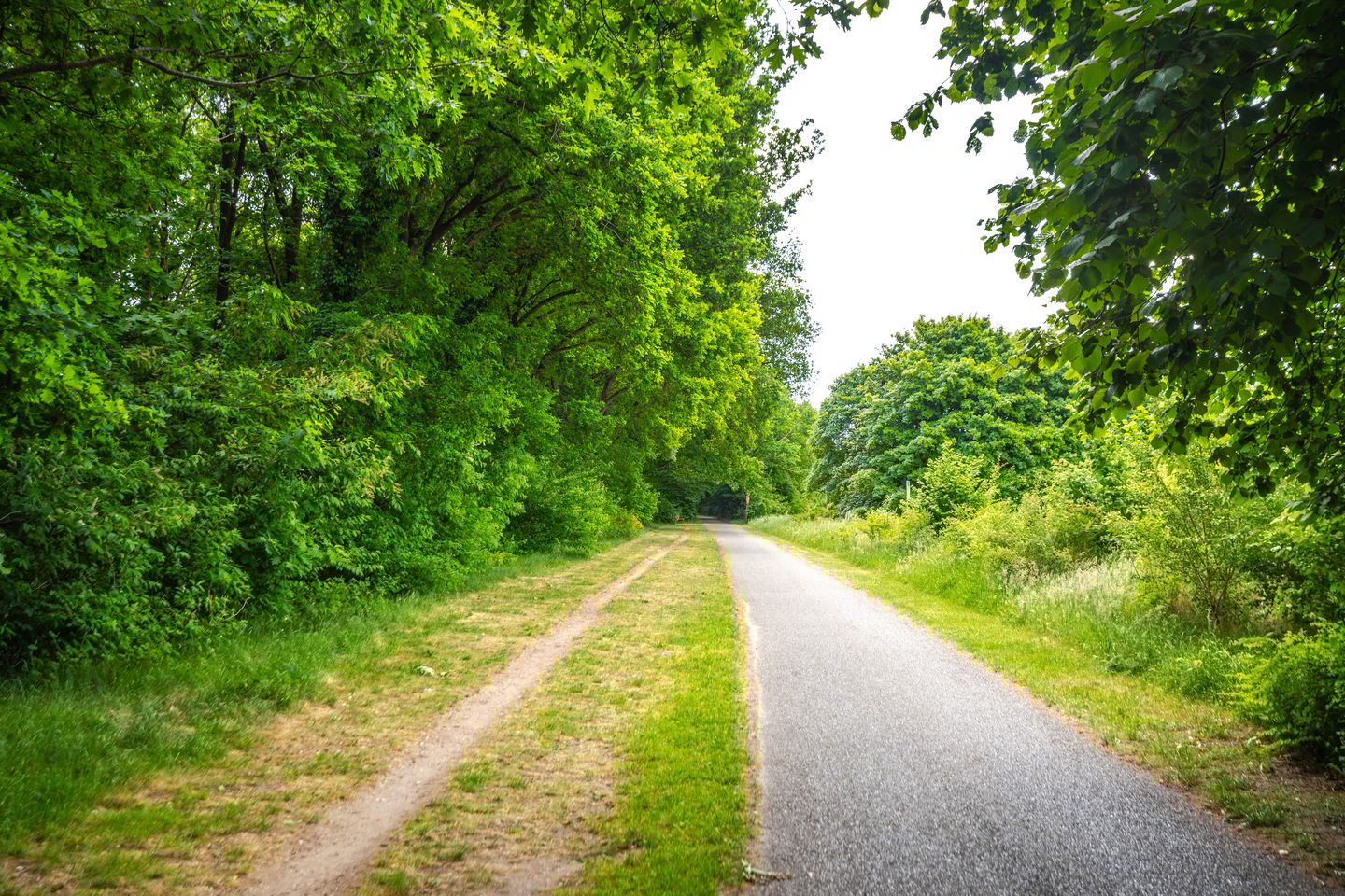 Foto 44 van Strodorpsweg 9