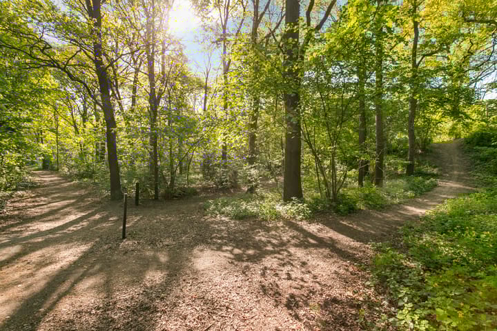 Foto 47 van Wolfsberg 75