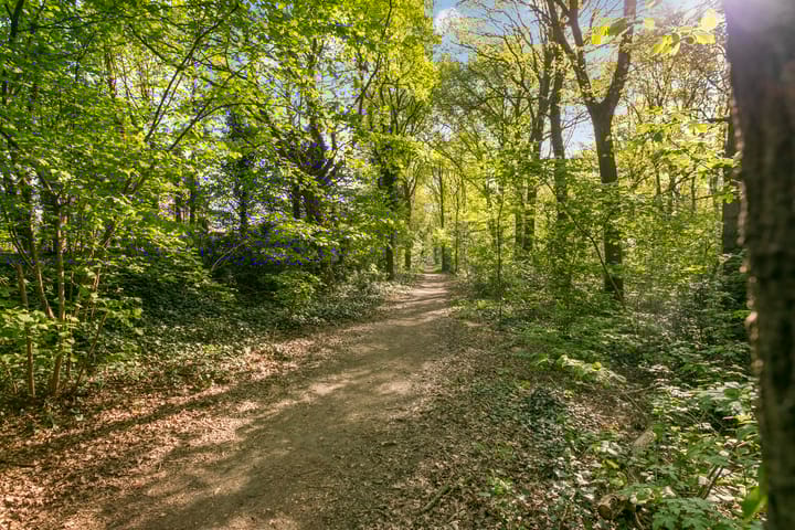 Foto 48 van Wolfsberg 75