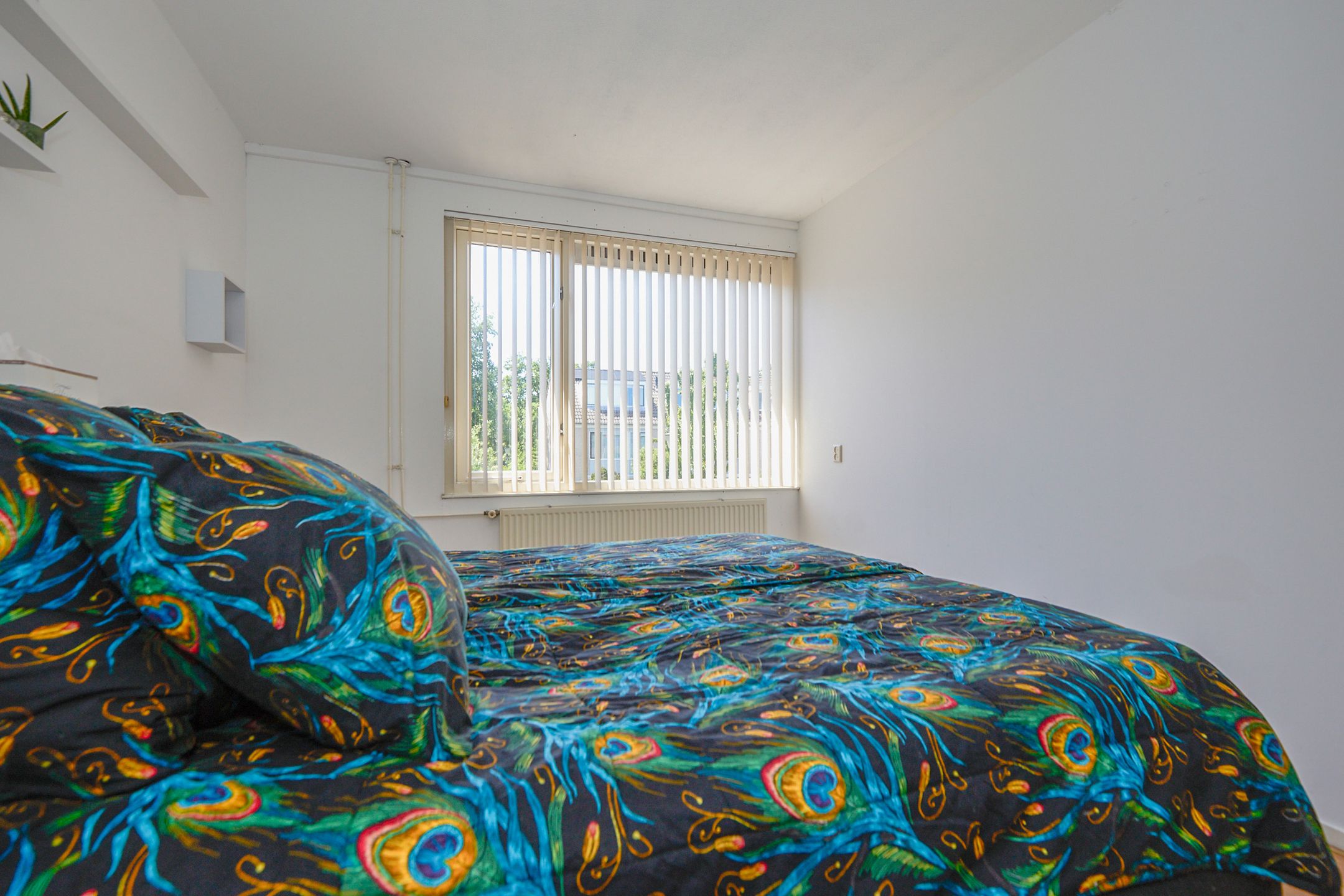 Foto 24 van Schorrekruidweg 29