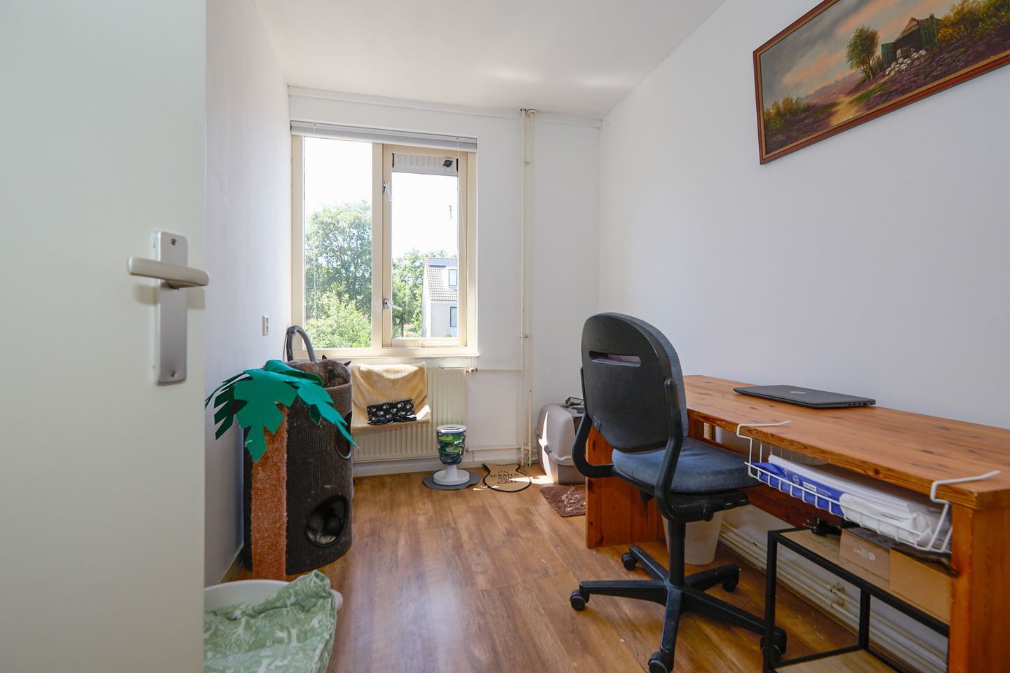 Foto 35 van Schorrekruidweg 29