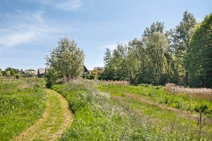 Foto 41 van Kamille 10