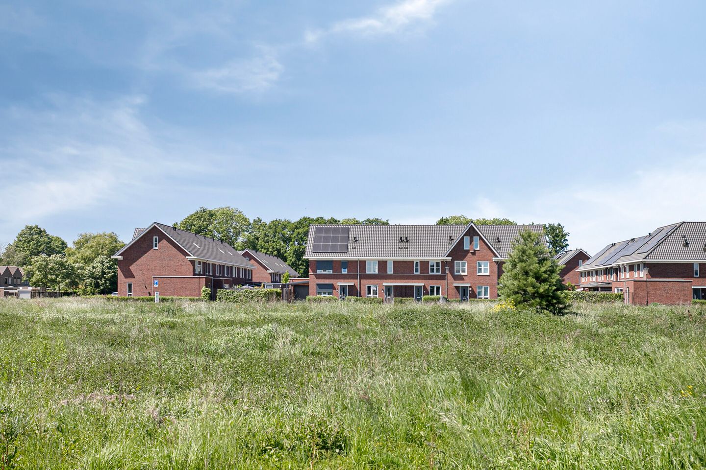 Foto 44 van Kamille 10