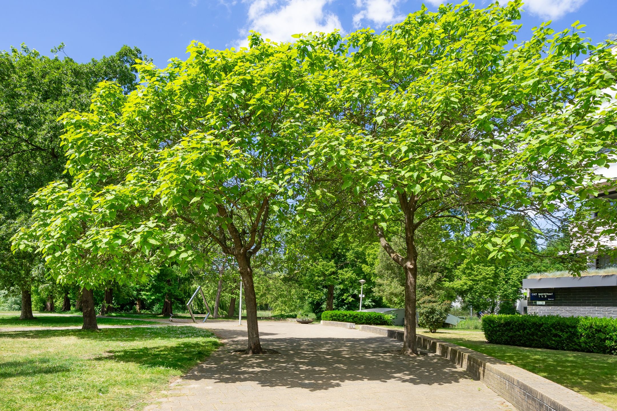 Photo 33 of Chet Bakerstraat 201