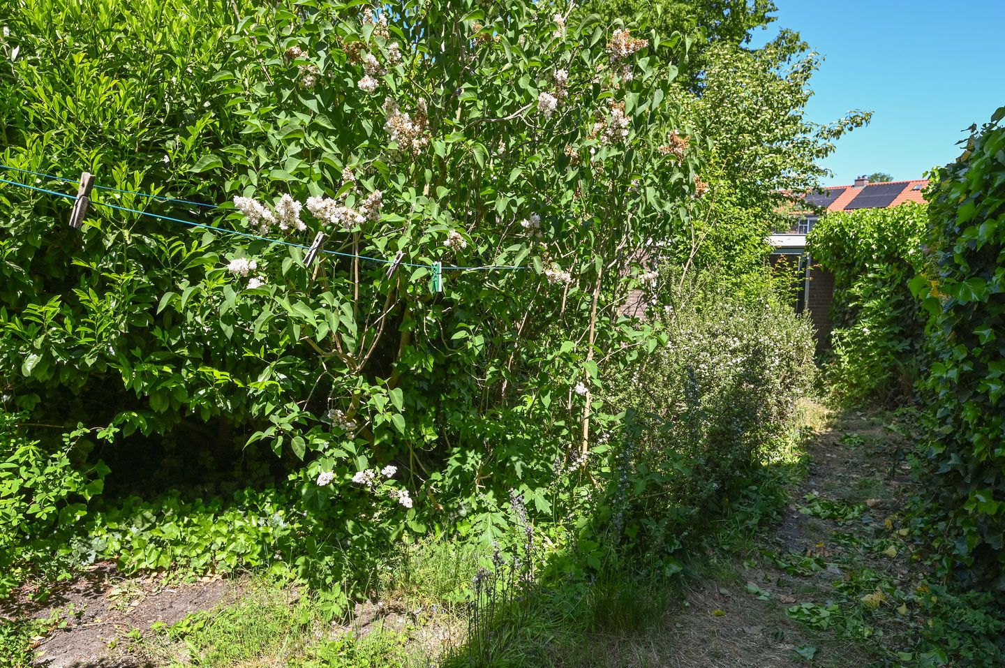 Foto 5 van Overmeerseweg 127