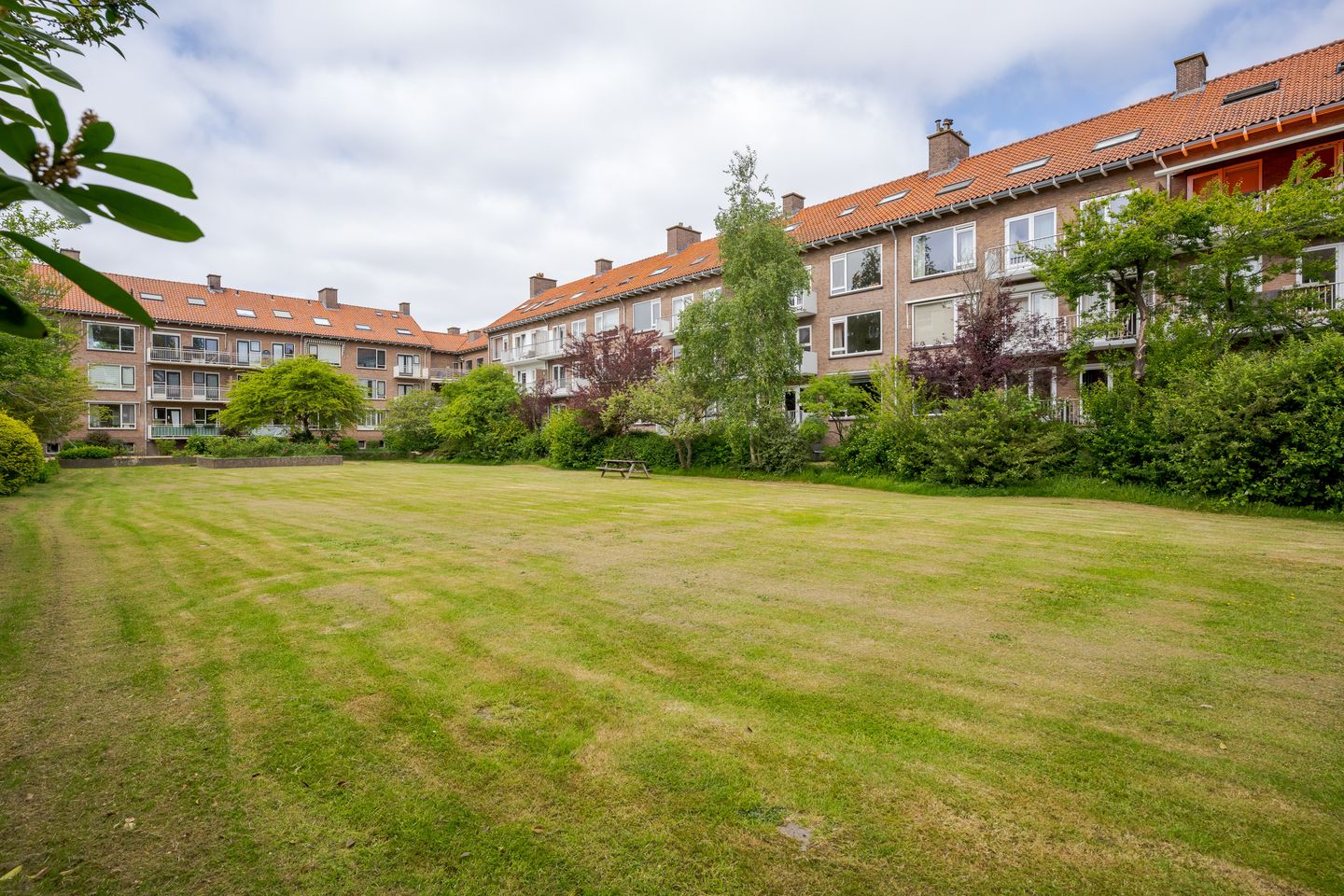 Foto 25 van Moddermanstraat 19