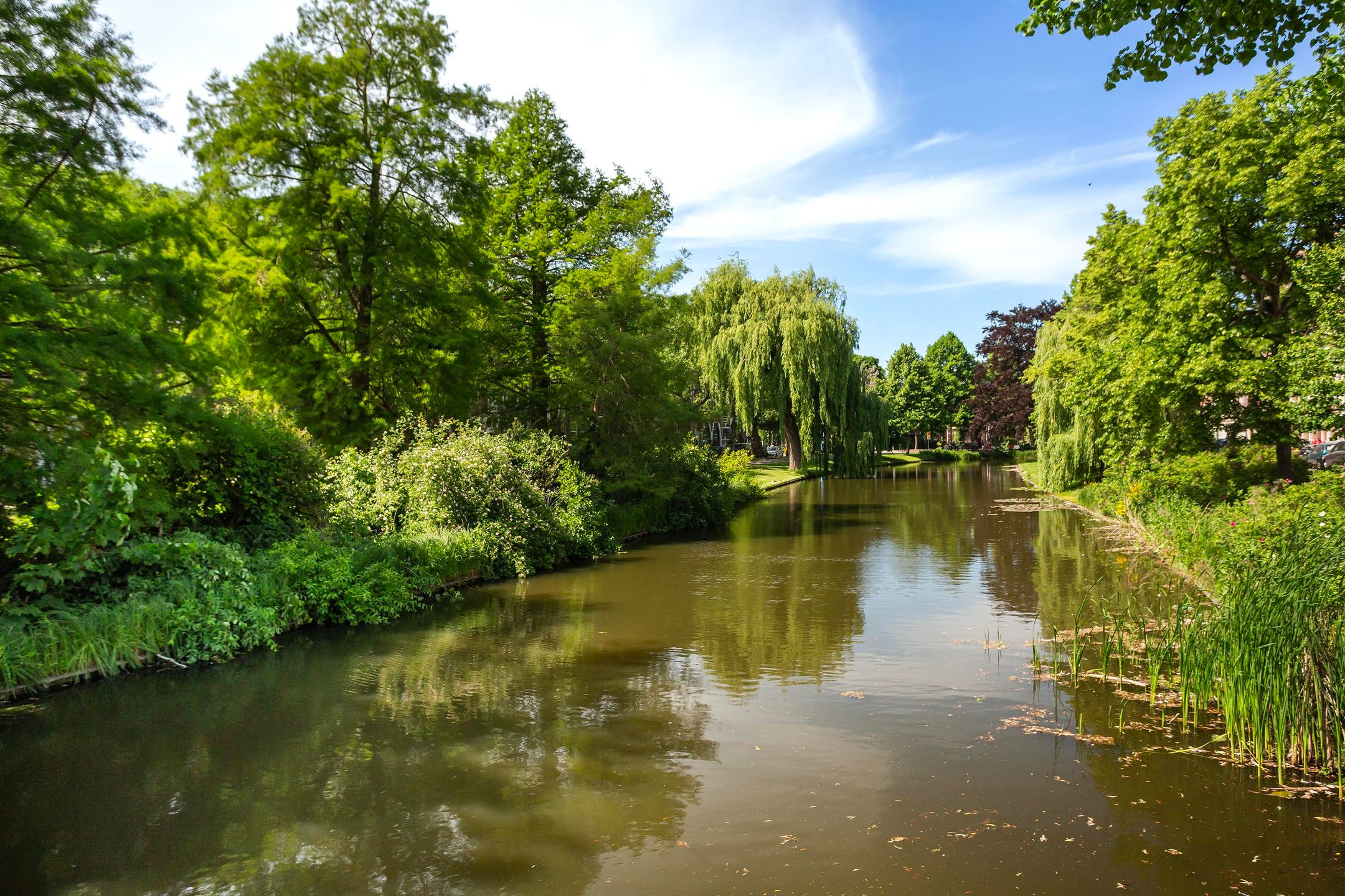 Foto 24 van Jacob Loisstraat 120