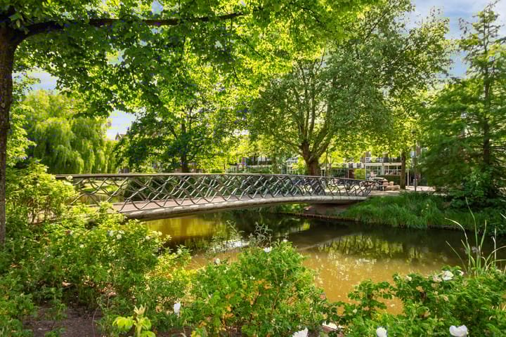 Foto 23 van Jacob Loisstraat 120