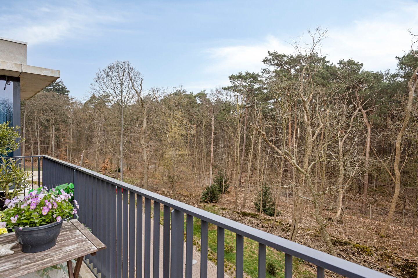 Foto 25 van Paterslaan 31