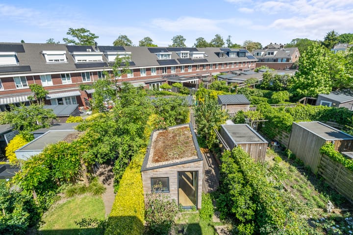 Foto 4 van Dalkruidstraat 17