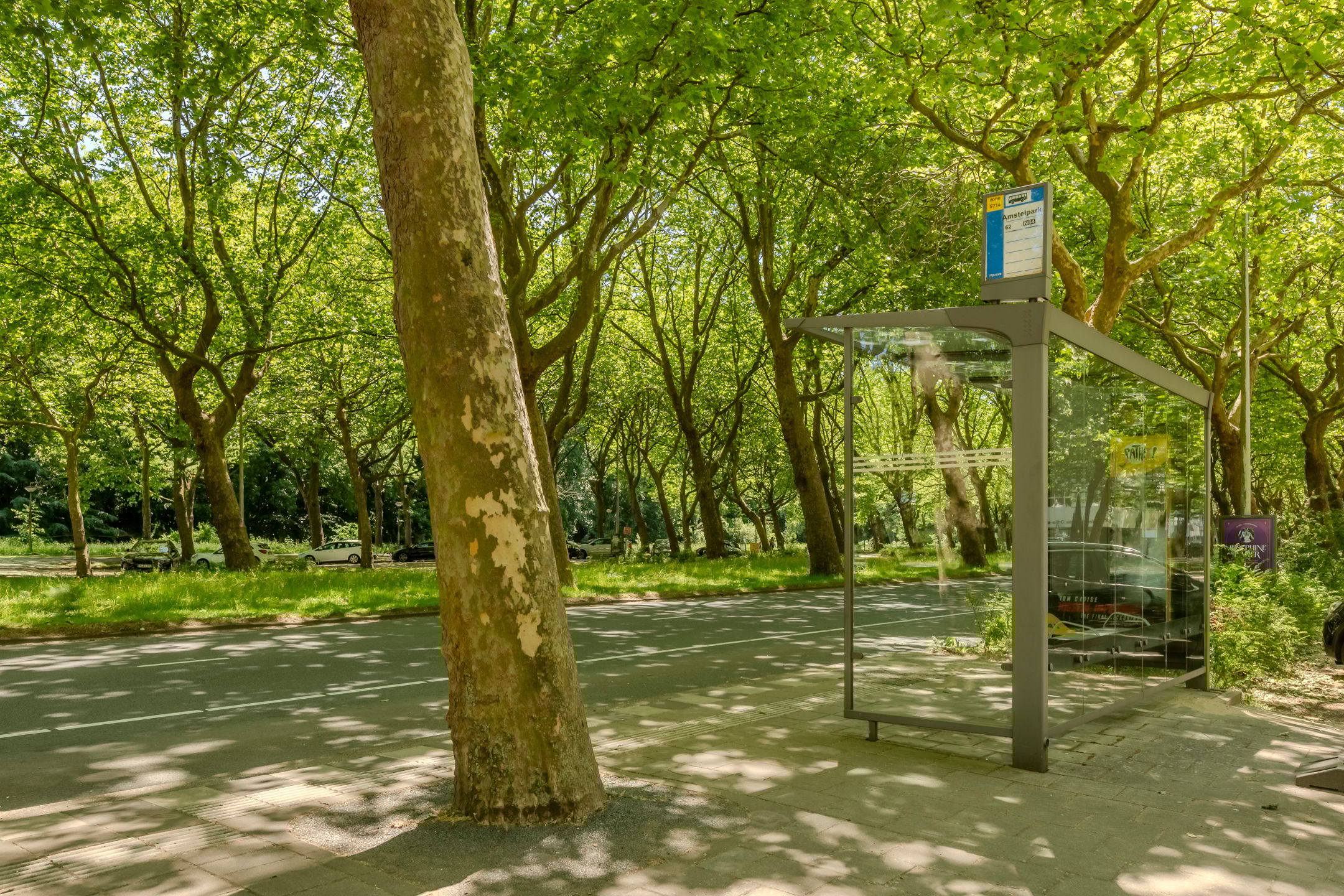 Photo 39 of Oldengaarde 33