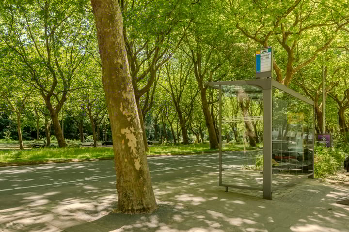 Photo 39 of Oldengaarde 33