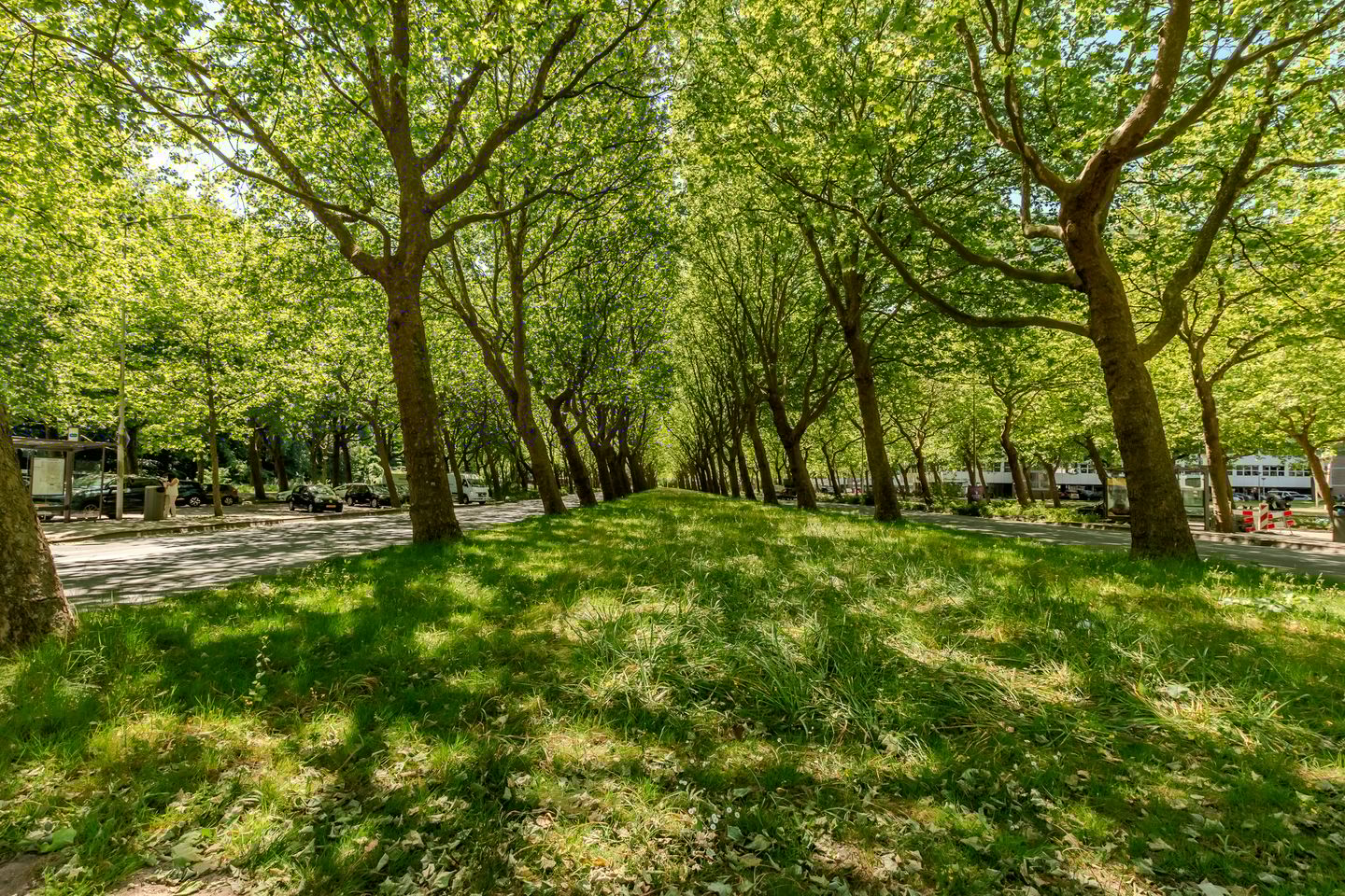 Photo 40 of Oldengaarde 33