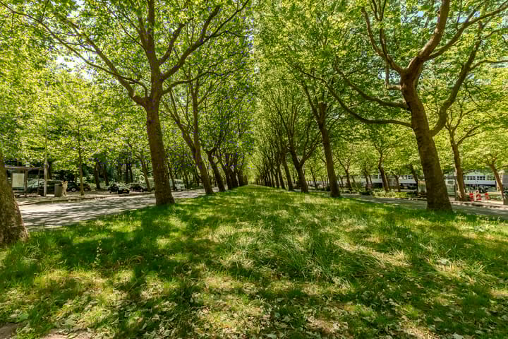 Photo 40 of Oldengaarde 33