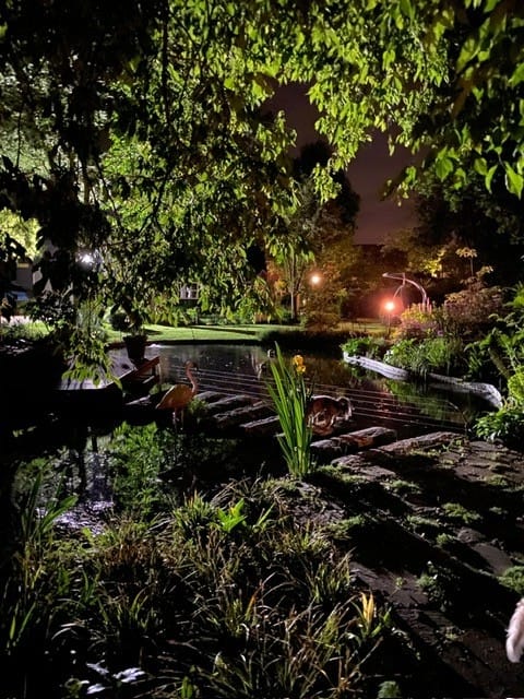 Foto 87 van Oude Kerkstraat 33