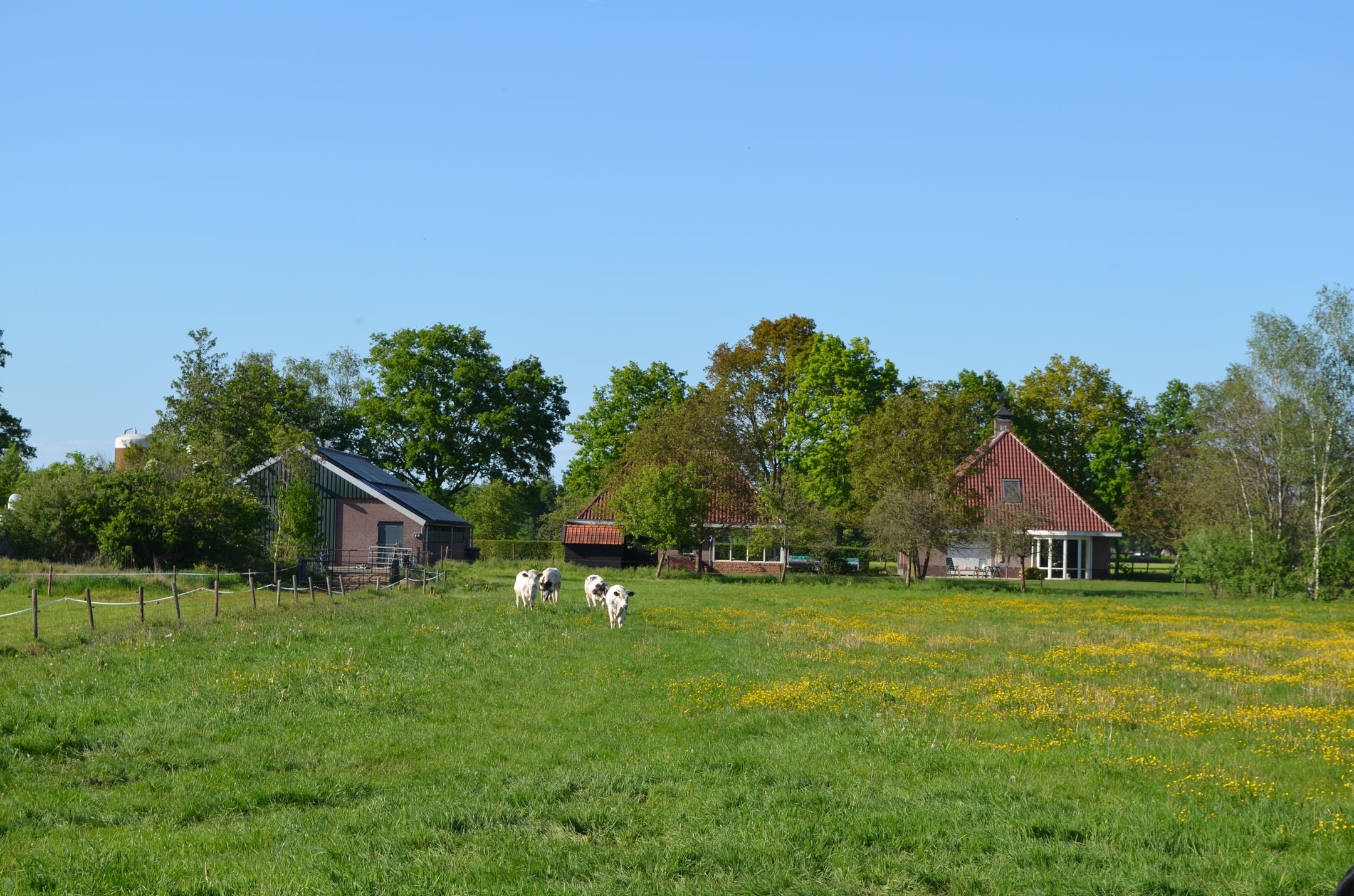 Foto 48 van Stellingweg 4