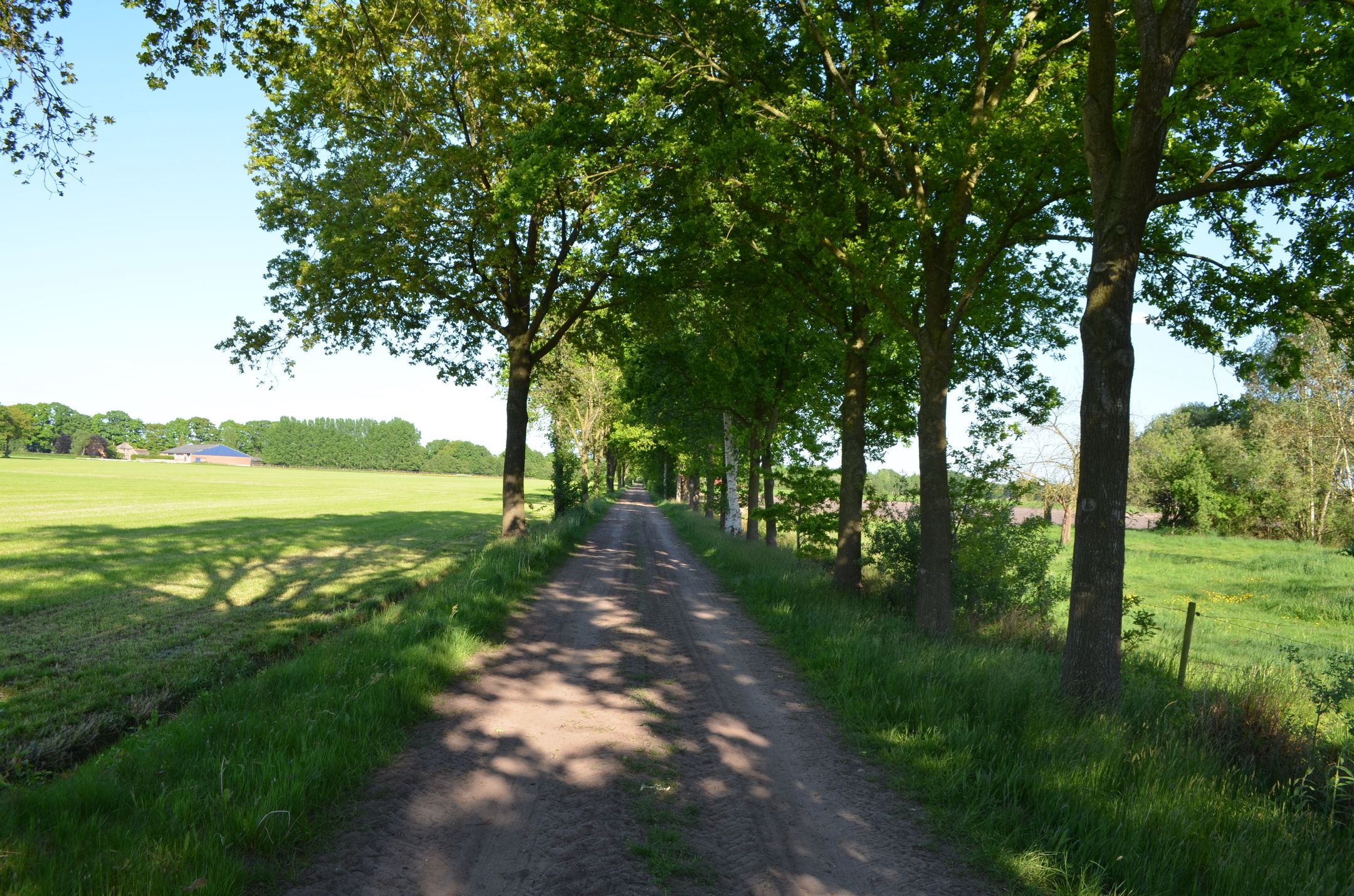 Foto 54 van Stellingweg 4