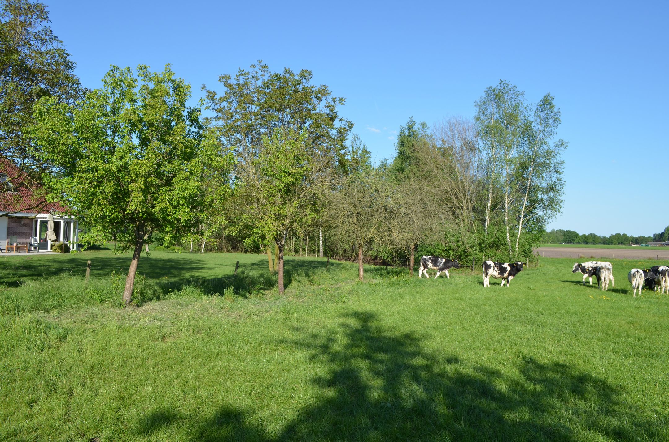 Foto 60 van Stellingweg 4