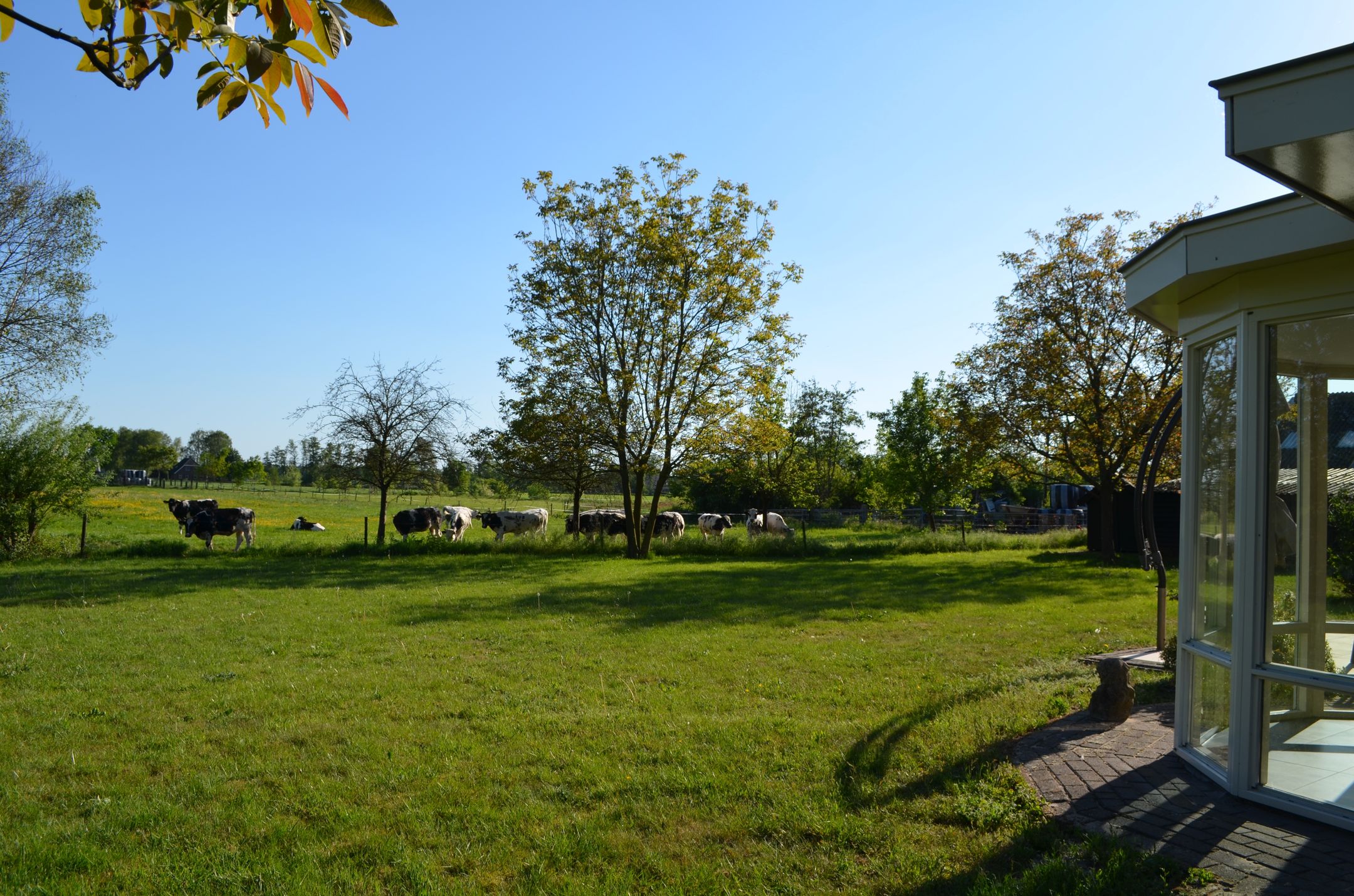 Foto 63 van Stellingweg 4