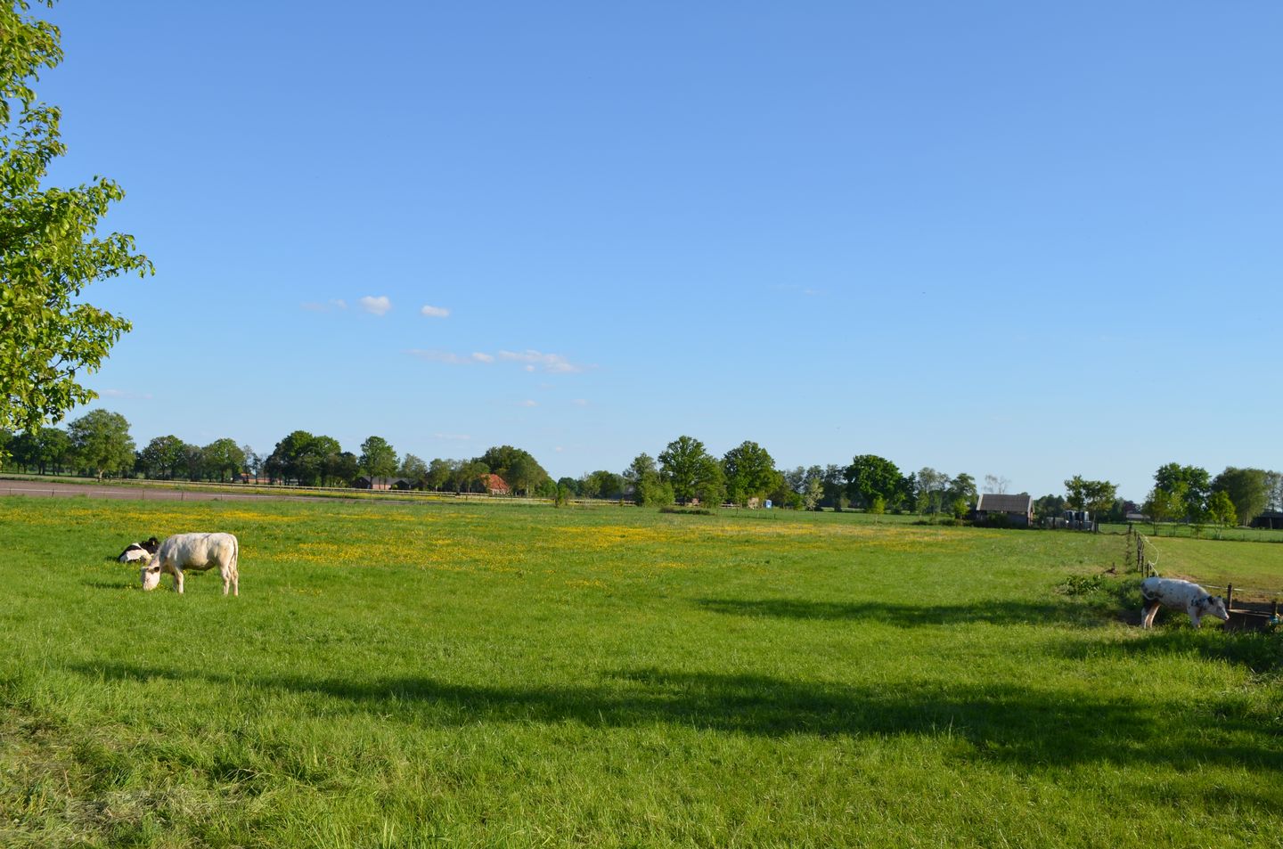 Foto 64 van Stellingweg 4