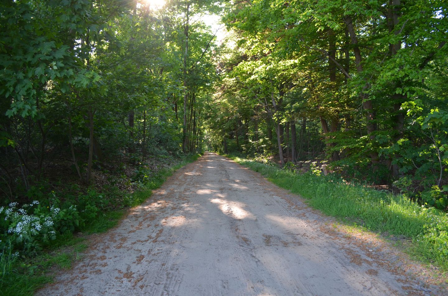 Foto 65 van Stellingweg 4