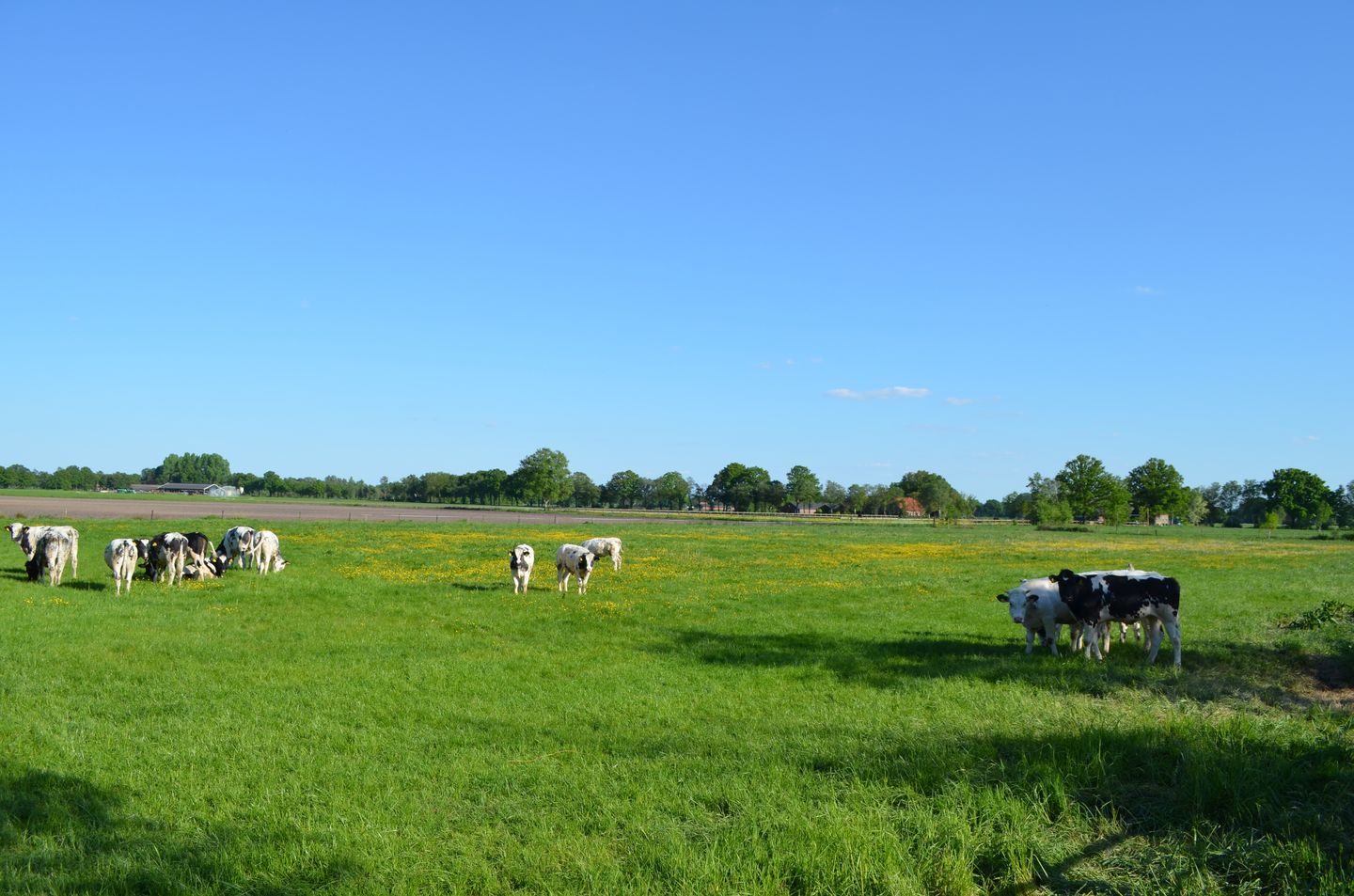 Foto 59 van Stellingweg 4