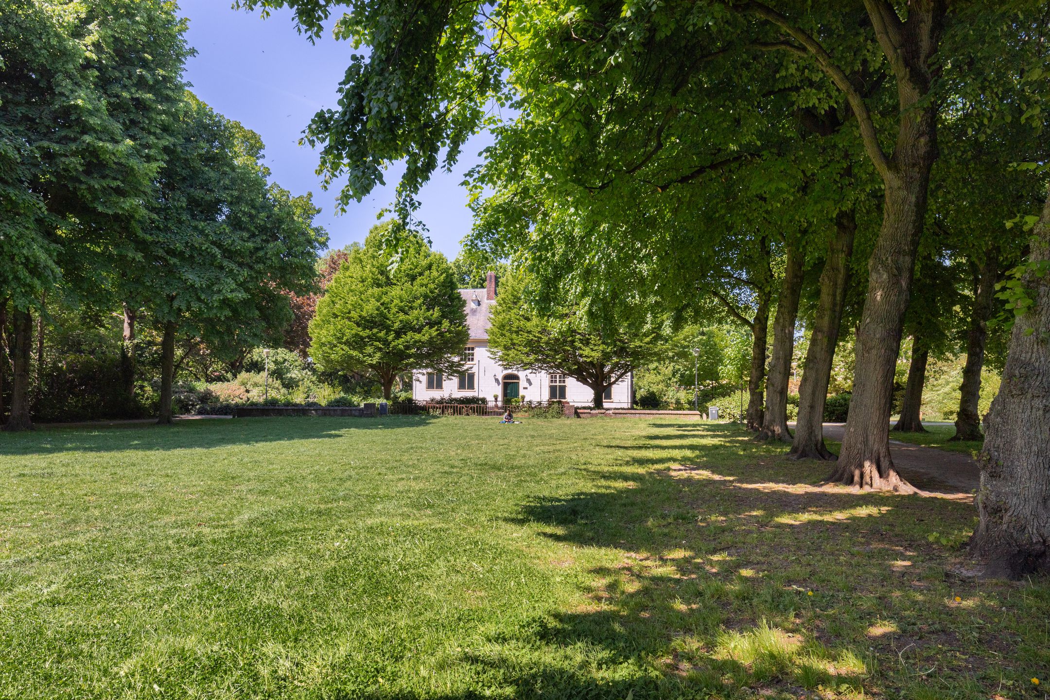 Photo 24 of Laurierstraat 33