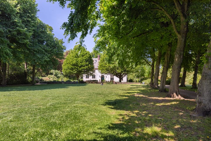 Foto 24 van Laurierstraat 33