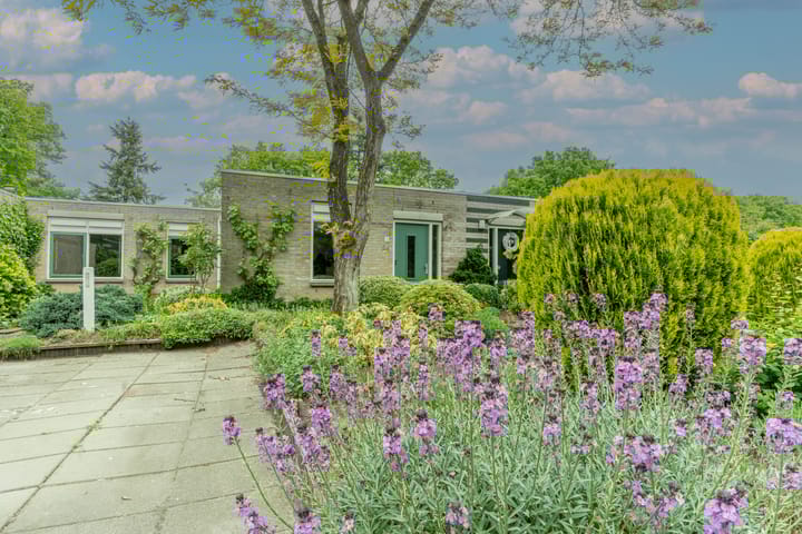 Foto 1 van Mercury 3