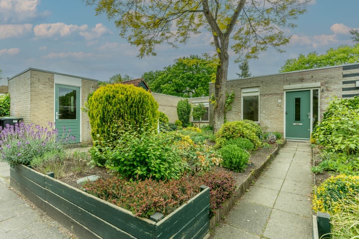 Foto 13 van Mercury 3