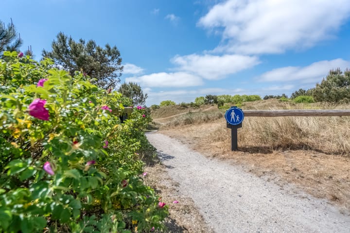 Foto 40 van De Blinkerd 15