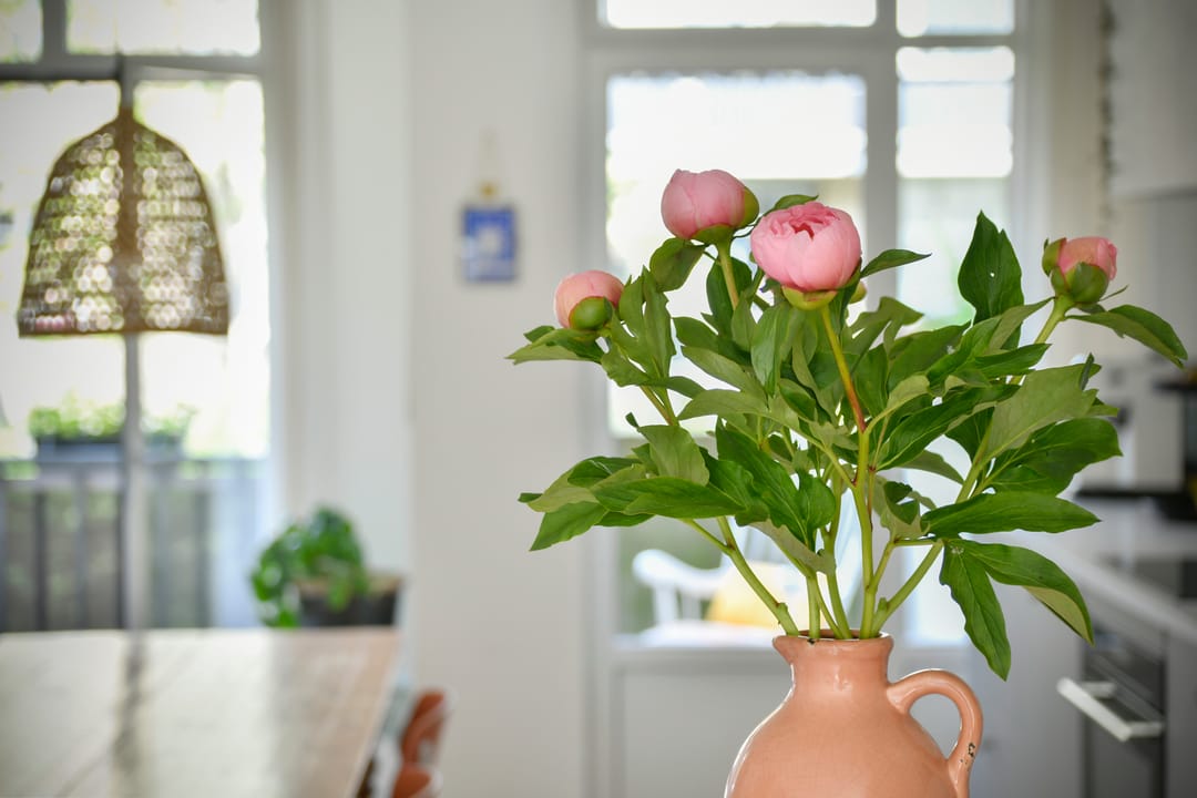 Foto 8 van Louise de Colignystraat 36-H