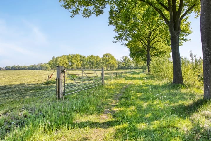 Foto 3 van Koffiestraat