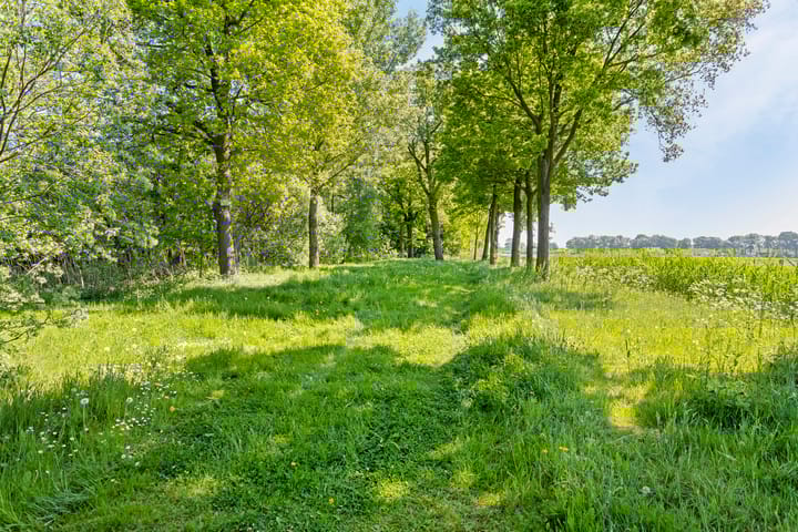 Foto 4 van Koffiestraat