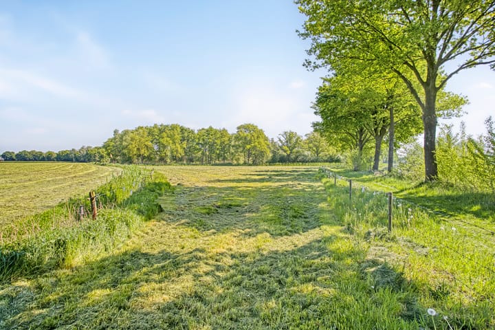 Foto 6 van Koffiestraat