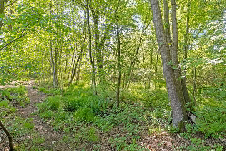 Foto 7 van Koffiestraat