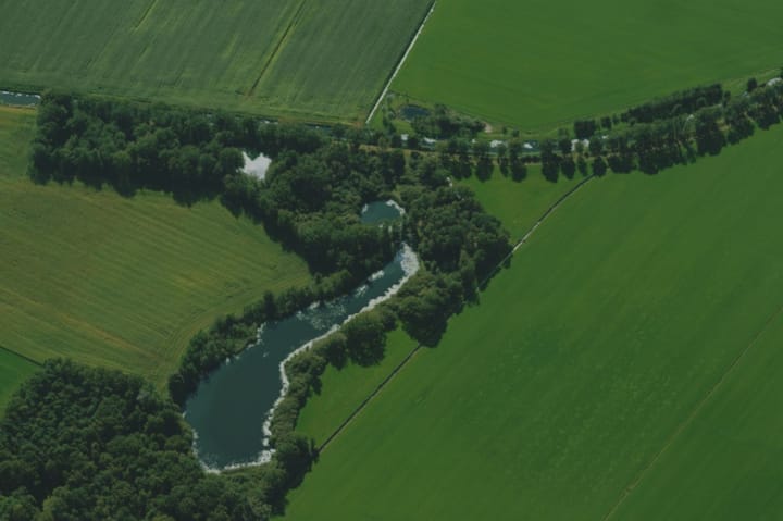 Foto 8 van Koffiestraat