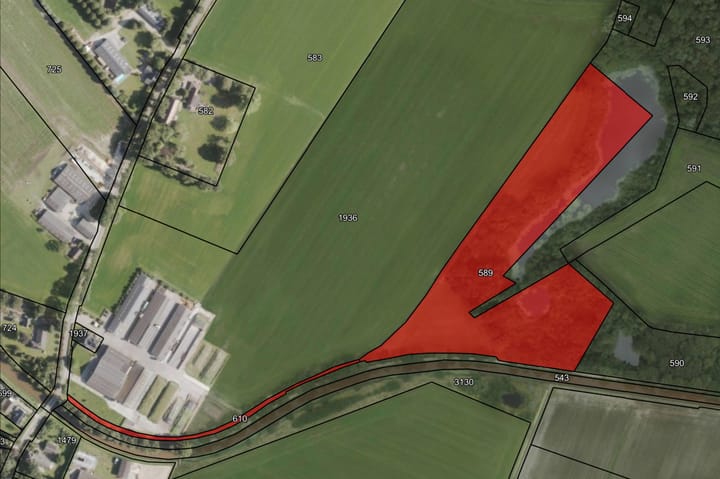 Foto 9 van Koffiestraat