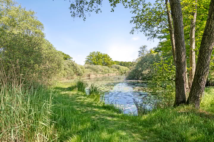 Foto 1 van Koffiestraat