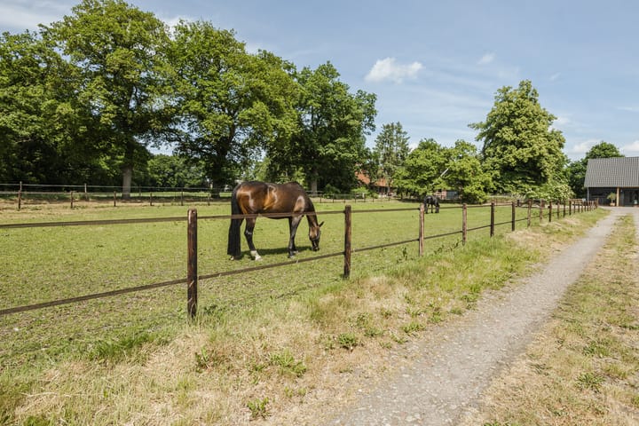 Foto 49 van Bruinehaarsweg 68