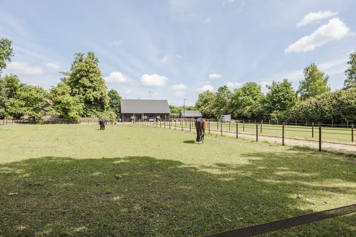 Foto 50 van Bruinehaarsweg 68