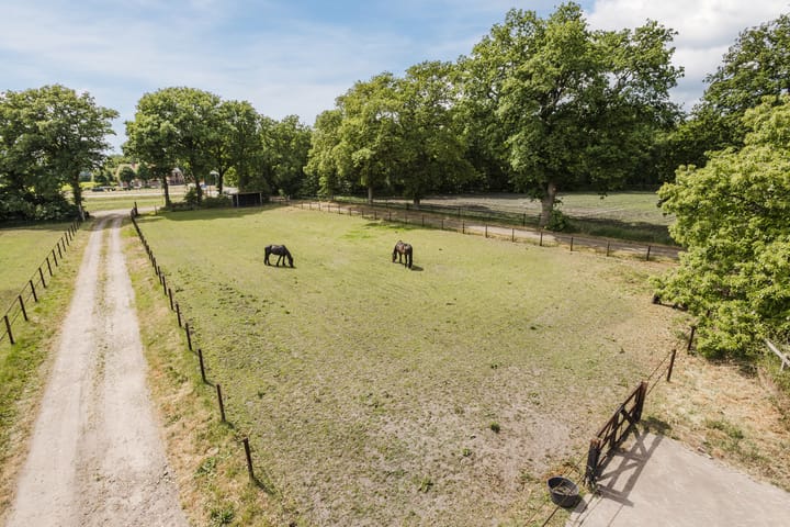 Foto 53 van Bruinehaarsweg 68