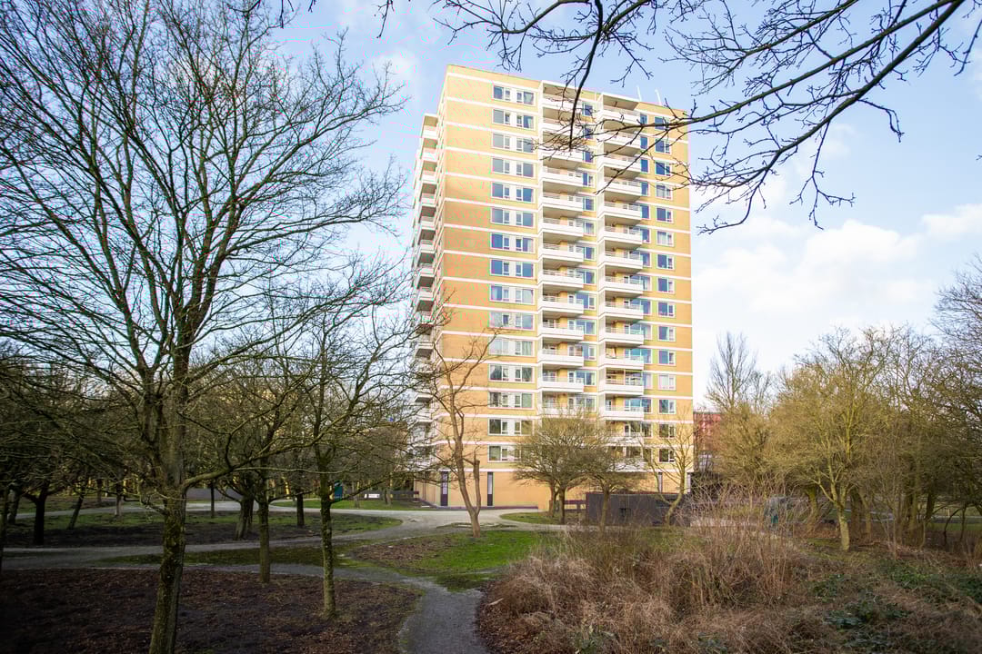 Foto 1 van Staalmeesterslaan 218