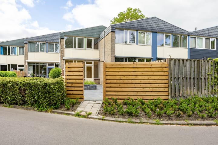 Foto 16 van Van Drielstlaan 51