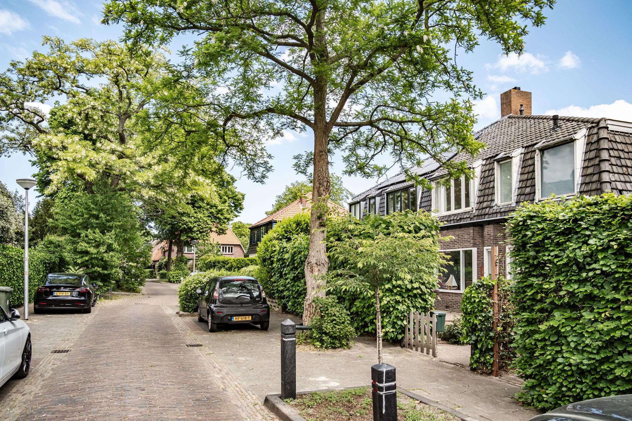 Foto 39 van Amaryllislaan 16