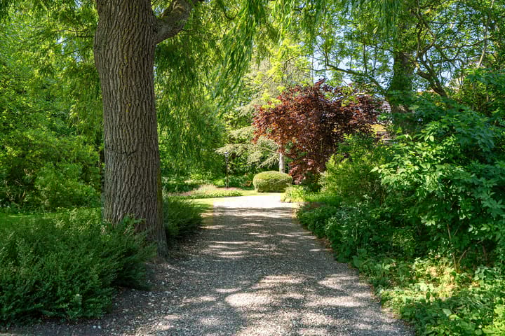 Photo 44 of Tsjerkeleane 1