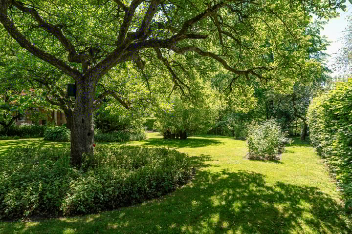 Photo 50 of Tsjerkeleane 1